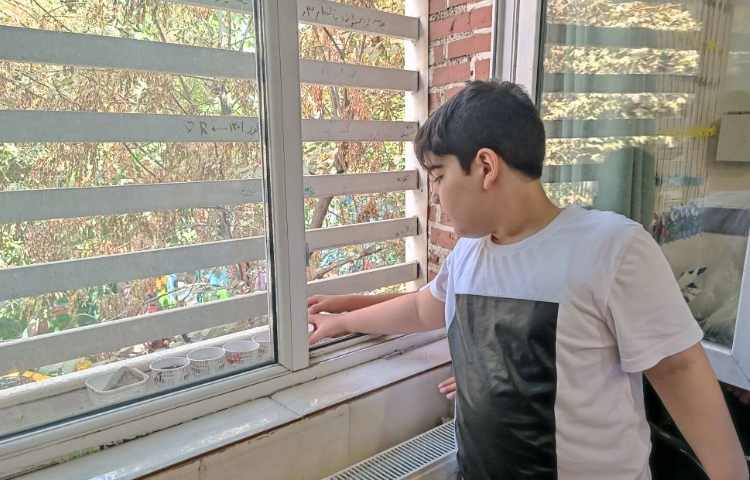 کاشت بذر ریحان به صورت گروهی 3