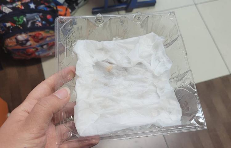 کاشت حبوبات 1