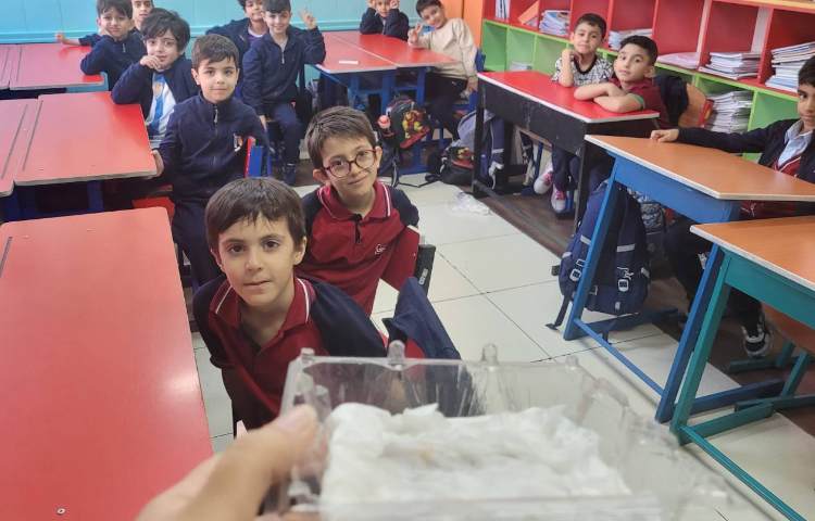 کاشت حبوبات 4