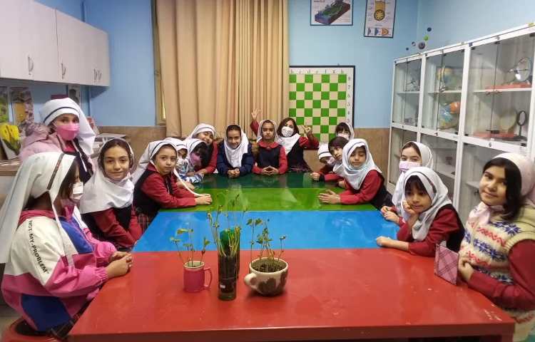 کاشت دانه لوبیای جوانه زده 1