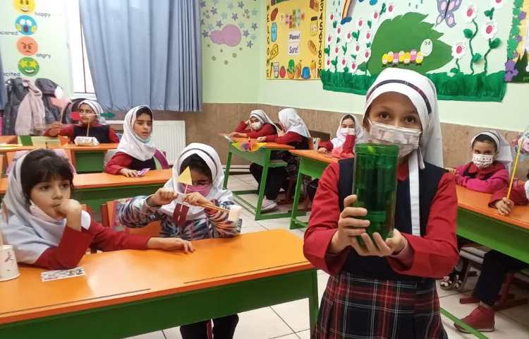 کاشت دانه لوبیای جوانه زده 1