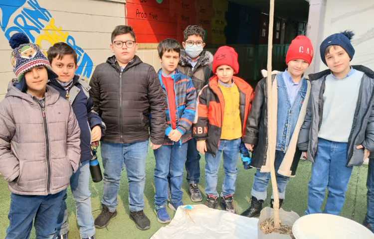 کاشت درخت در روز درختکاری 0