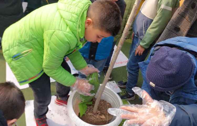 کاشت درخت در روز درختکاری 2