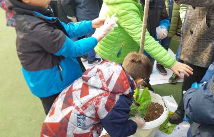 کاشت درخت در روز درختکاری 6