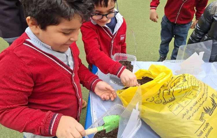 کاشت سبزه عید به مناسبت روز درخت کاری 1