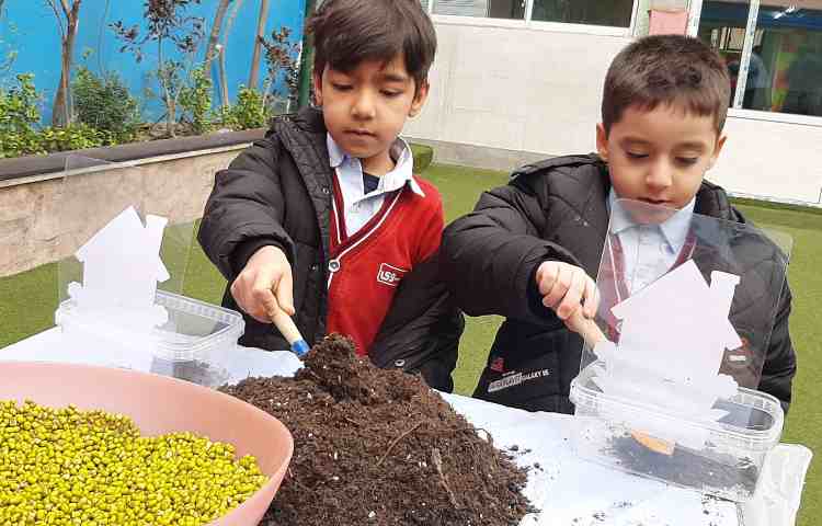 کاشت سبزه عید به مناسبت روز درخت کاری 10