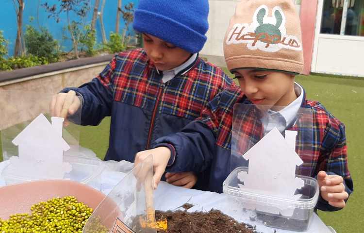 کاشت سبزه عید به مناسبت روز درخت کاری 11