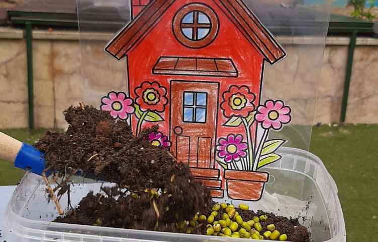 کاشت سبزه عید به مناسبت روز درخت کاری 12