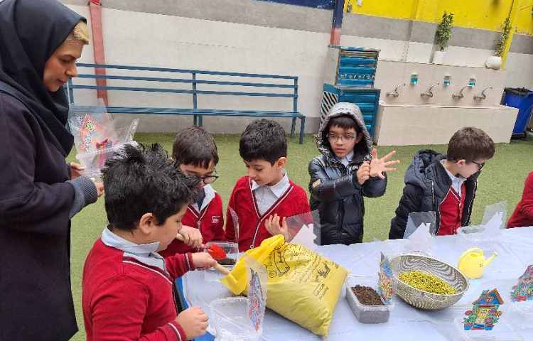 کاشت سبزه عید به مناسبت روز درخت کاری 2