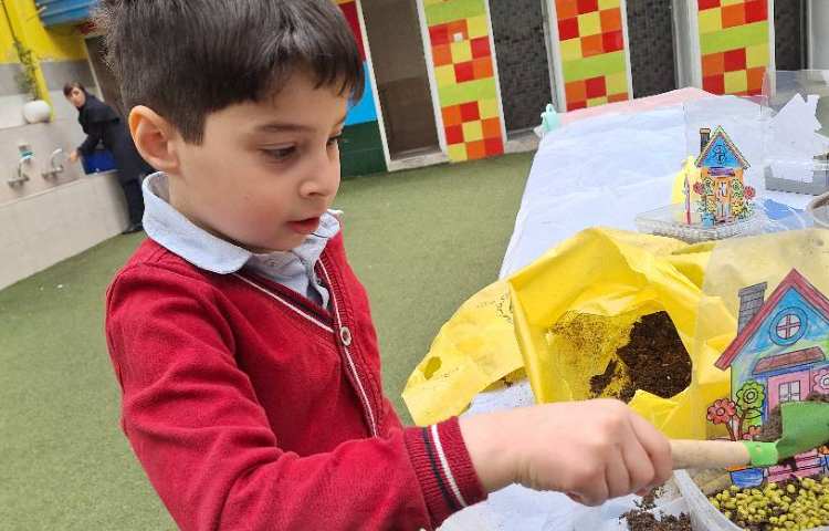 کاشت سبزه عید به مناسبت روز درخت کاری 3