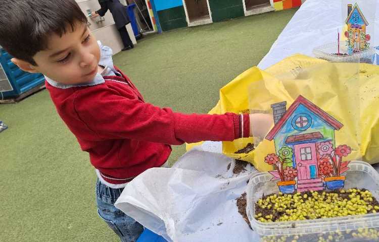 کاشت سبزه عید به مناسبت روز درخت کاری 5