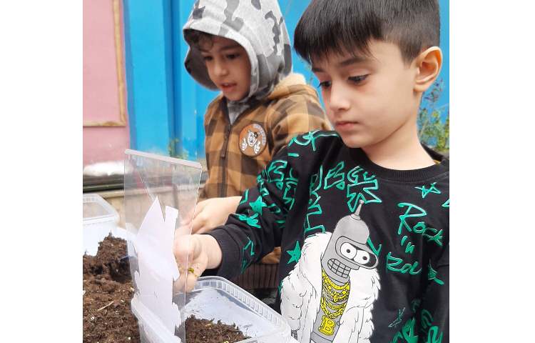 کاشت سبزه عید به مناسبت روز درخت کاری 7