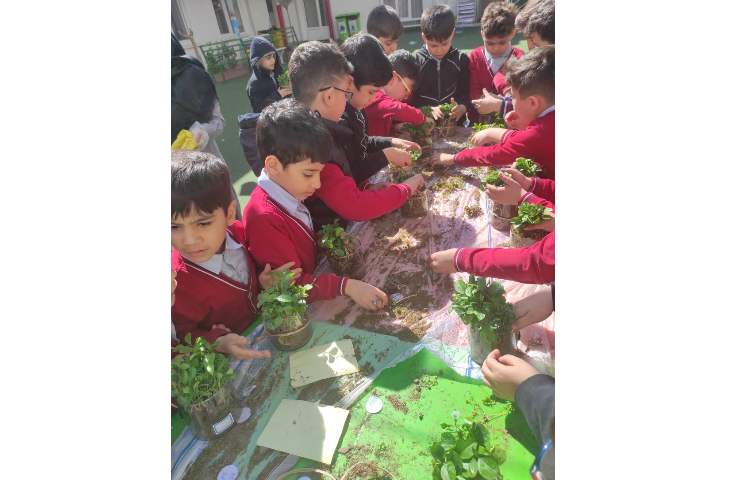 کاشت سبزه نارنج به مناسبت هفته درختکاری انجام شد 2