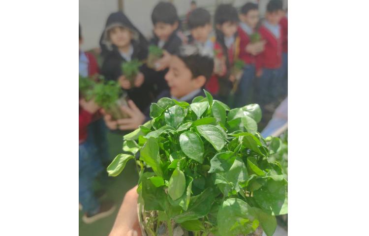 کاشت سبزه نارنج به مناسبت هفته درختکاری انجام شد 4