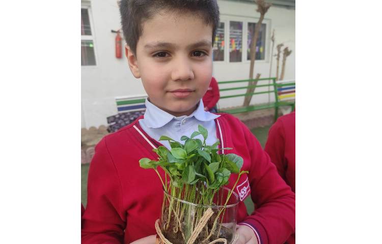 کاشت سبزه نارنج به مناسبت هفته درختکاری انجام شد 5