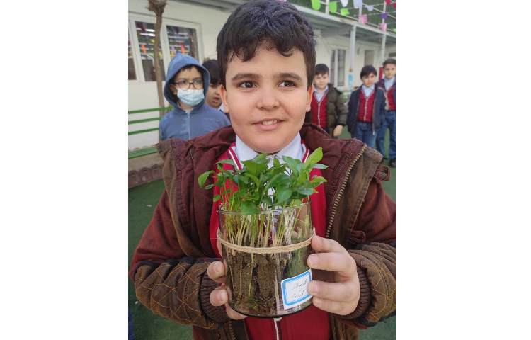 کاشت سبزه نارنج به مناسبت هفته درختکاری انجام شد 6