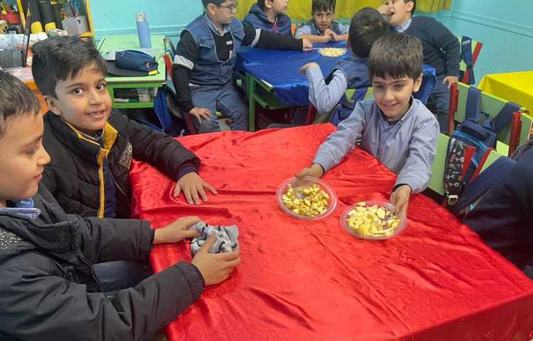 کافه سلامت،تهیه چیپس میوه 1