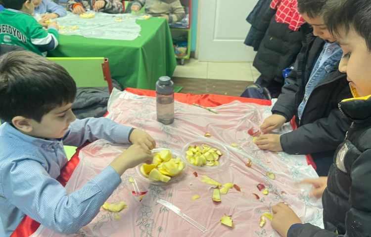 کافه سلامت،تهیه چیپس میوه 5