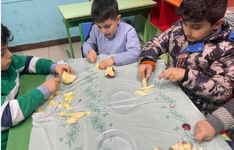 کافه سلامت،تهیه چیپس میوه