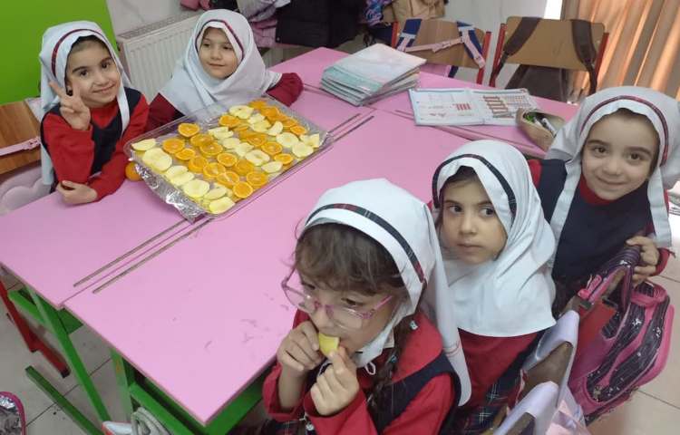 کافه سلامت 4