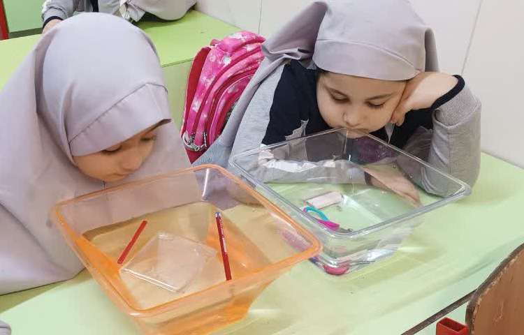 کاوشگران کوچک 4