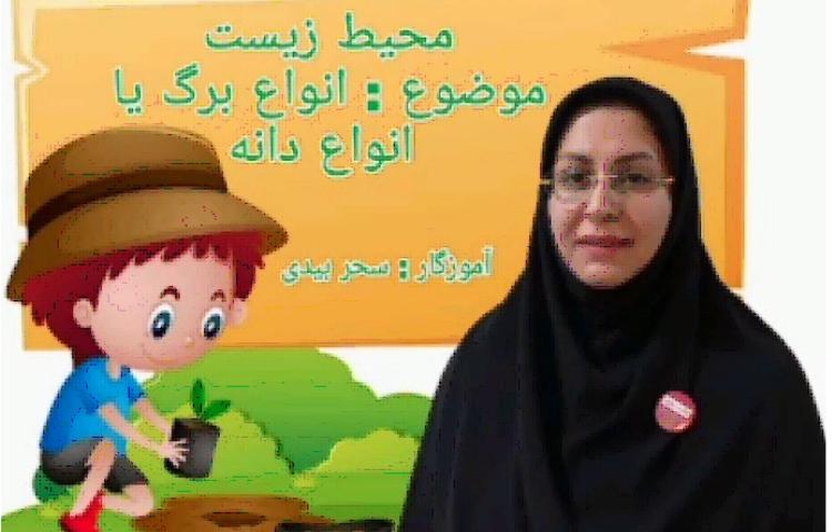 کاوشگری در طبیعت(اآشنایی باانواع برگها و دانه ها)توسط دانش اموزان سوم