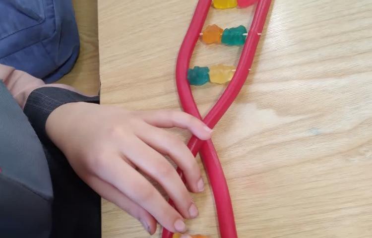 کدهای حیاتی 4