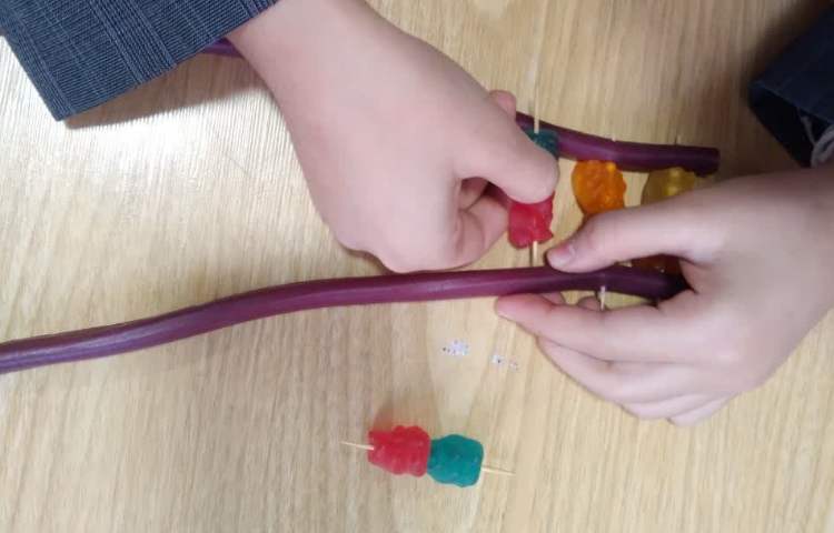 کدهای حیاتی 6