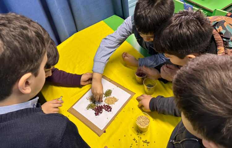 کرم شب تاب و تابلو حبوبات هفته ملی علوم 2