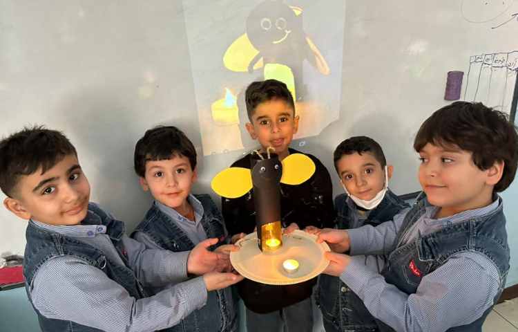 کرم شب تاب و تابلو حبوبات هفته ملی علوم 3