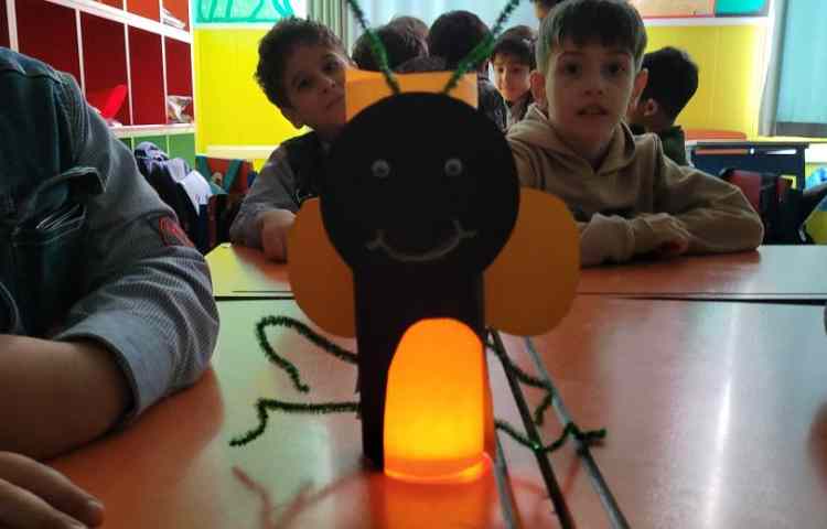 کرم شب تاب 1