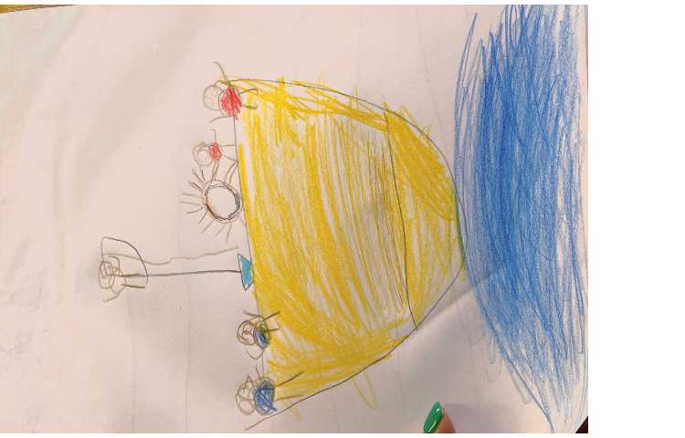 کشتی حیوانات 1