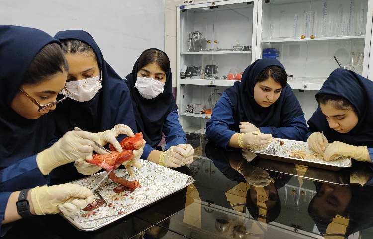 کلاس آزمایشگاه 1