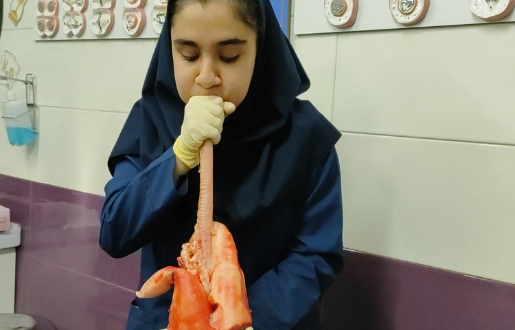 کلاس آزمایشگاه 2