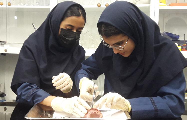 کلاس آزمایشگاه 3