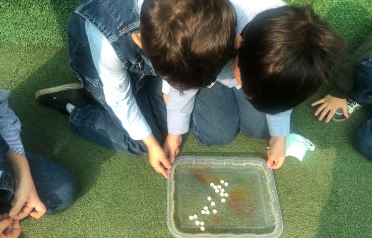 کلاس آزمایش ترکیب رنگ‌ها