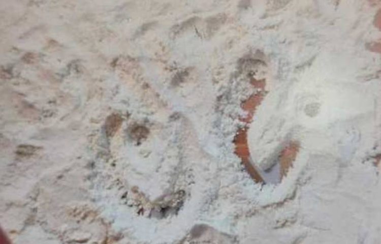 :کلاس آنلاین، املای آردی 5