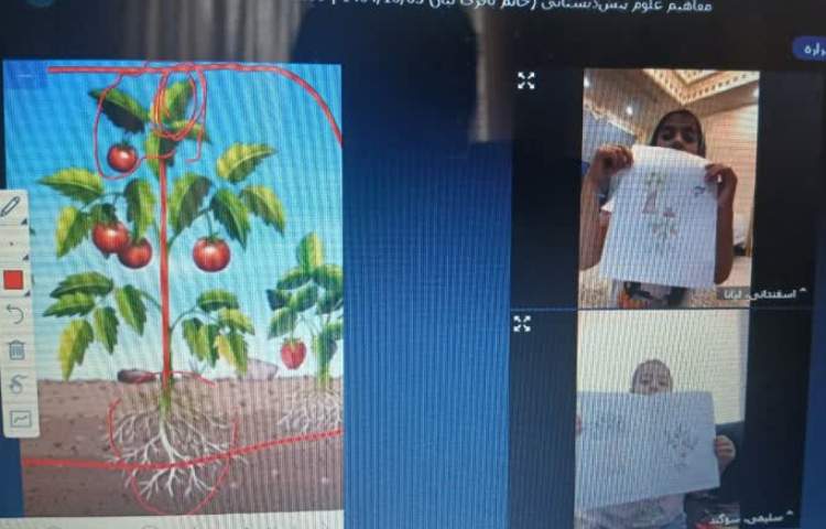 کلاس آنلاین 6