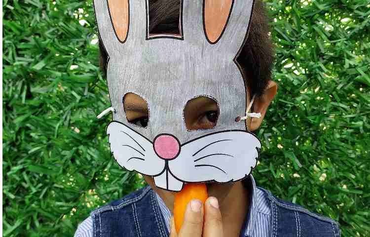 کلاس بدون دیوار درس: فارسی: مدرسه‌ی خرگوش‌ها 5