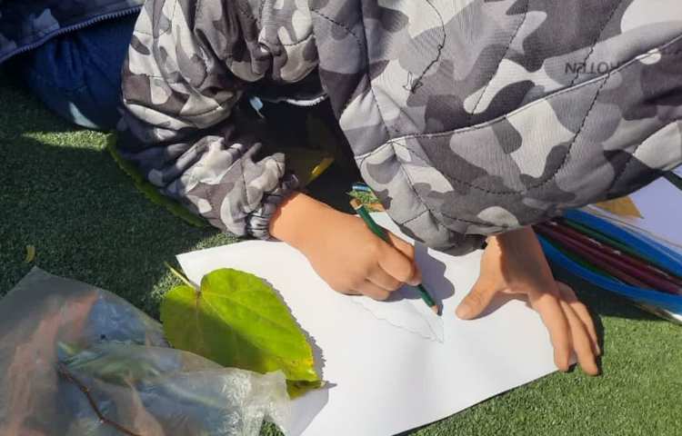 کلاس بدون دیوار علوم. (فصل گیاهان)پایه اول دبستان 3