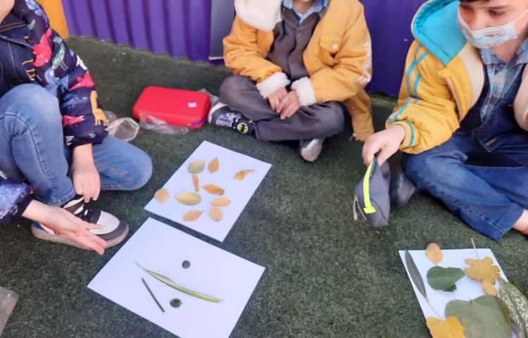 کلاس بدون دیوار علوم. (فصل گیاهان)پایه اول دبستان 4