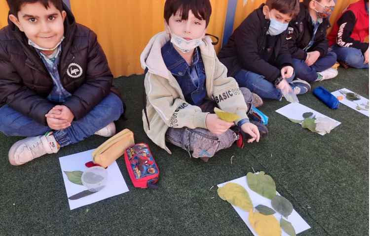 کلاس بدون دیوار علوم. (فصل گیاهان)پایه اول دبستان 6