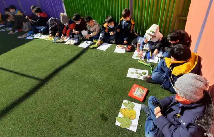 کلاس بدون دیوار علوم. (فصل گیاهان)پایه اول دبستان