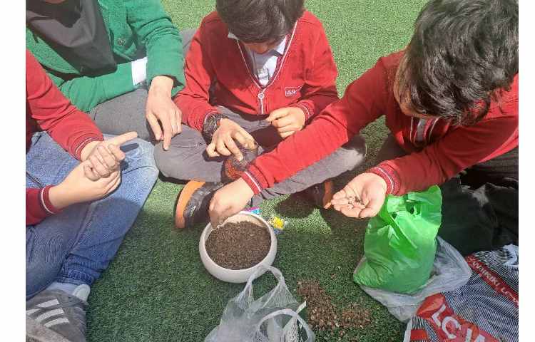 کلاس بدون دیوار و کاشت سبزه مربوط به مبحث گیاهان جهت تثبیت و یادگیری عینی _تجربی