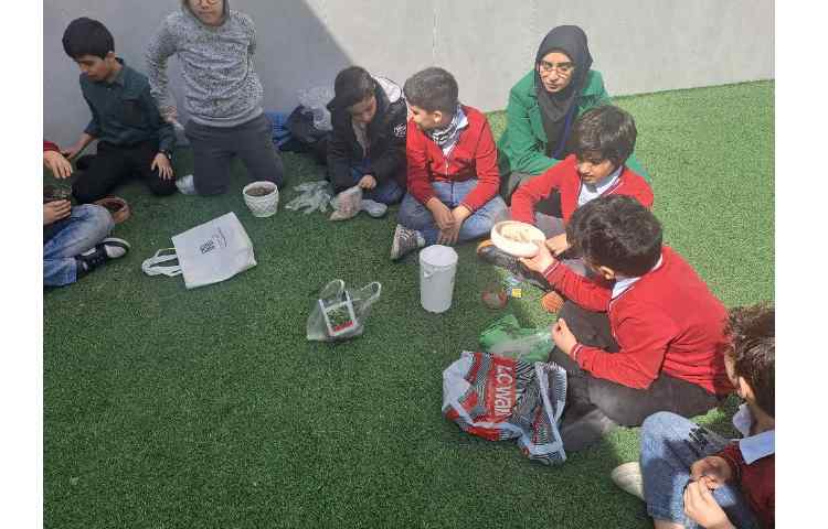 کلاس بدون دیوار و کاشت سبزه مربوط به مبحث گیاهان جهت تثبیت و یادگیری عینی _تجربی 4