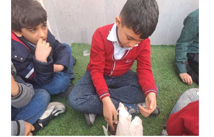 کلاس بدون دیوار و کاشت سبزه مربوط به مبحث گیاهان جهت تثبیت و یادگیری عینی _تجربی 5