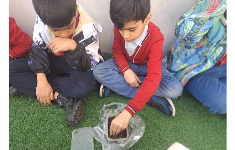 کلاس بدون دیوار و کاشت سبزه مربوط به مبحث گیاهان جهت تثبیت و یادگیری عینی _تجربی 6