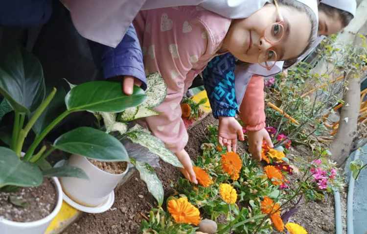 کلاس بدون دیوار 1