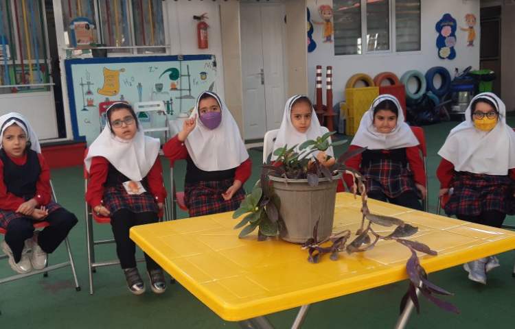 کلاس بدون دیوار (cwow) 2