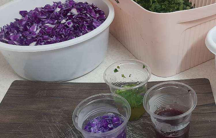 کلاس بدون دیوار 2